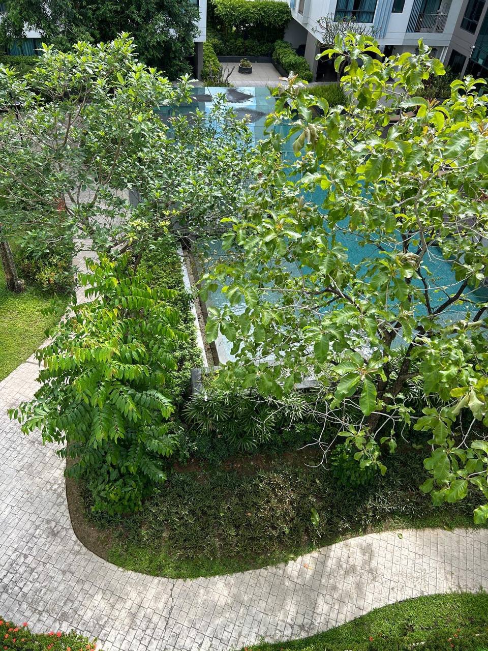 Condo for rent, pool and hall included - 15,000 baht/month (3 จาก 8)