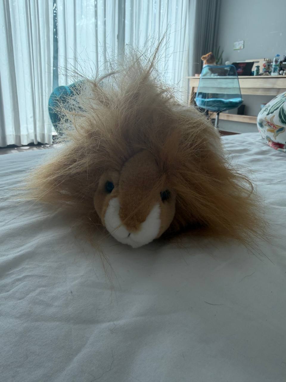 Douglas Guinea Pig Toy - 750 THB (2 of 2)