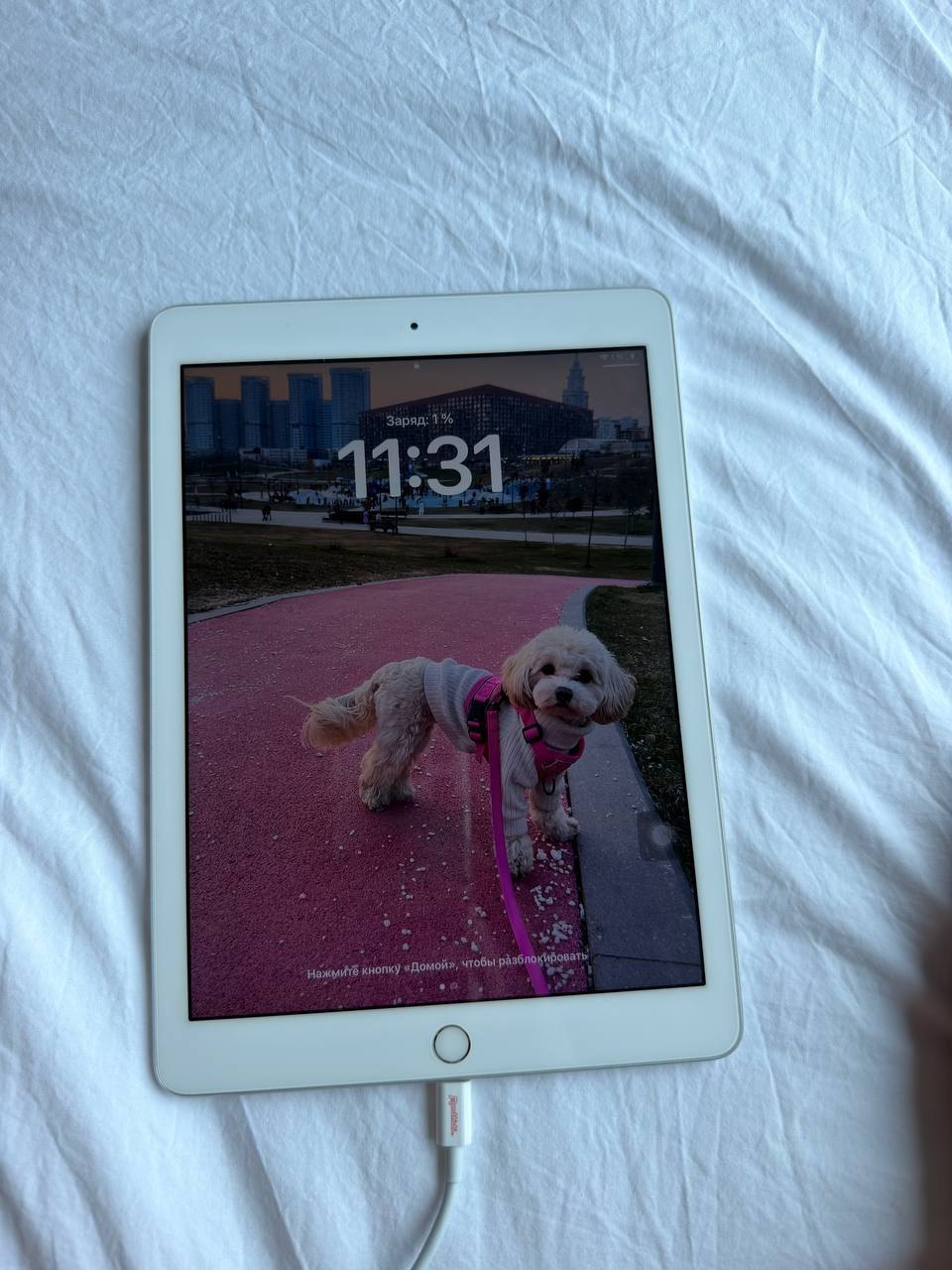 Apple iPad 6th generation tablet A1893, no scratches - 4,000 baht (2 of 3)