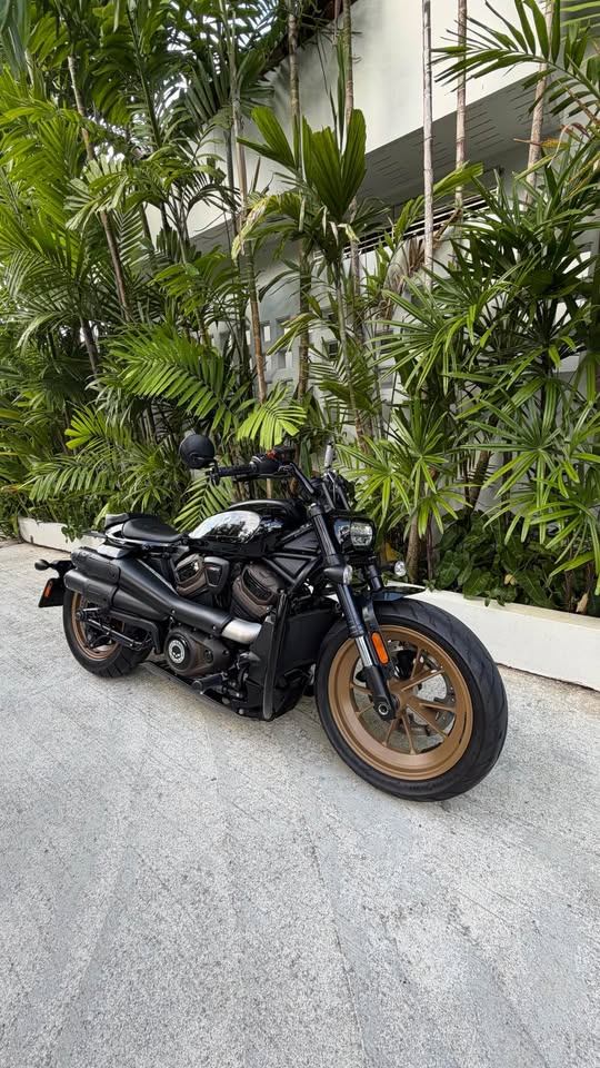 2021 Harley-Davidson Sportster S 1250 - fully serviced (3 จาก 5)